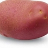 Memphis potato